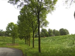 ws 344